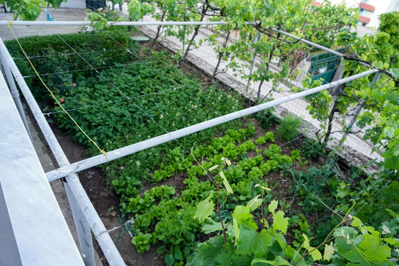 Patio Rooms Gjirokastër מראה חיצוני תמונה